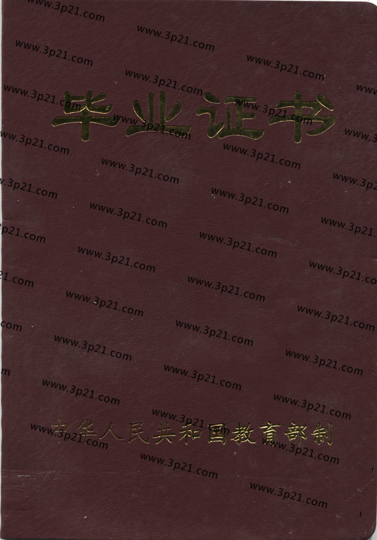 成人成教毕业证样本