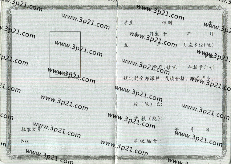 成人成教毕业证样本