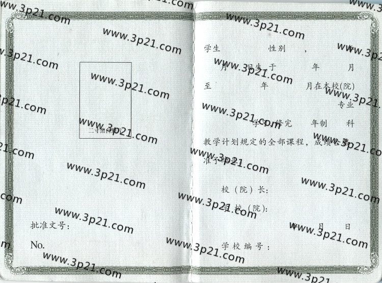 成人成教毕业证样本