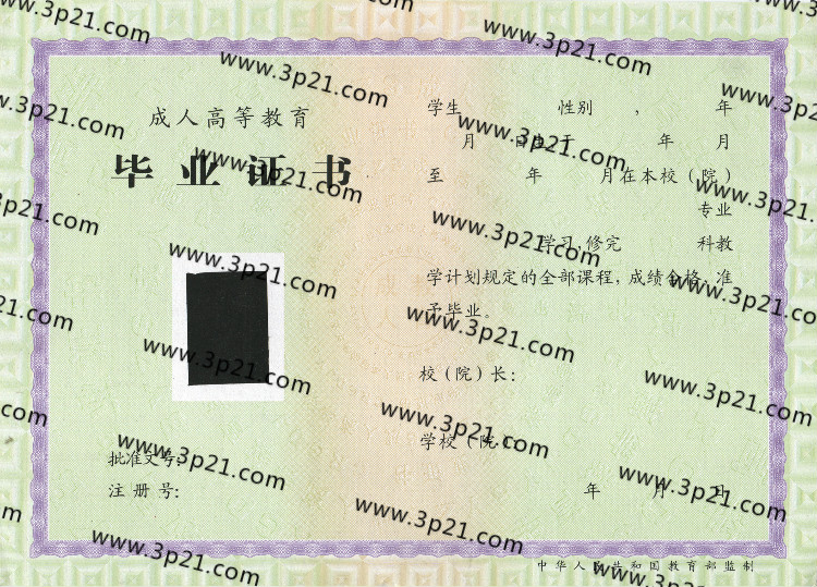 成人成教毕业证样本