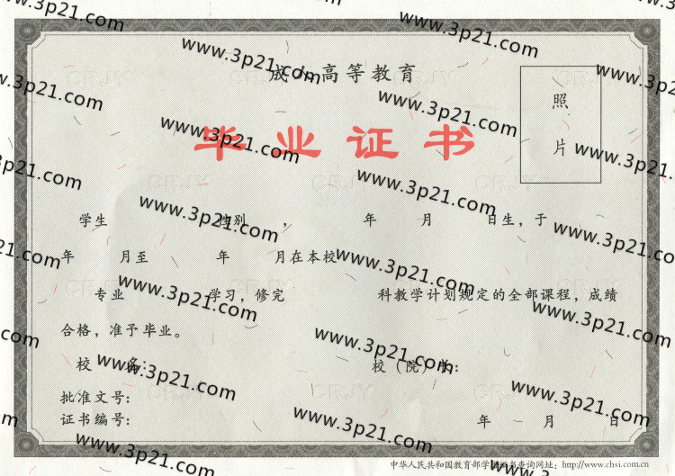 成人成教毕业证样本