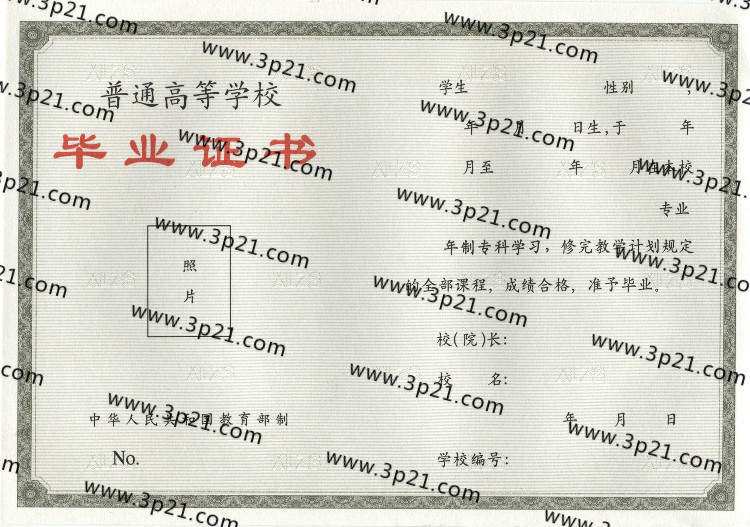 大学毕业证样本