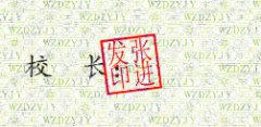 临泉县卫生学校校长张进发签名印章