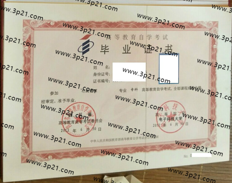 电子科技大学自考毕业证样本