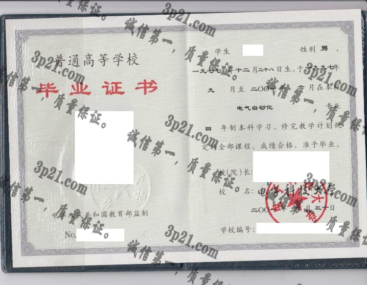 电子科技大学毕业证样本