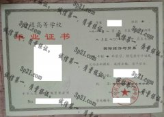 华中科技大学文华学院毕业证样本