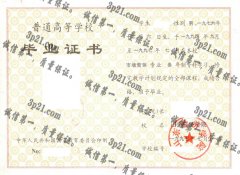 山东经济学院毕业证样本