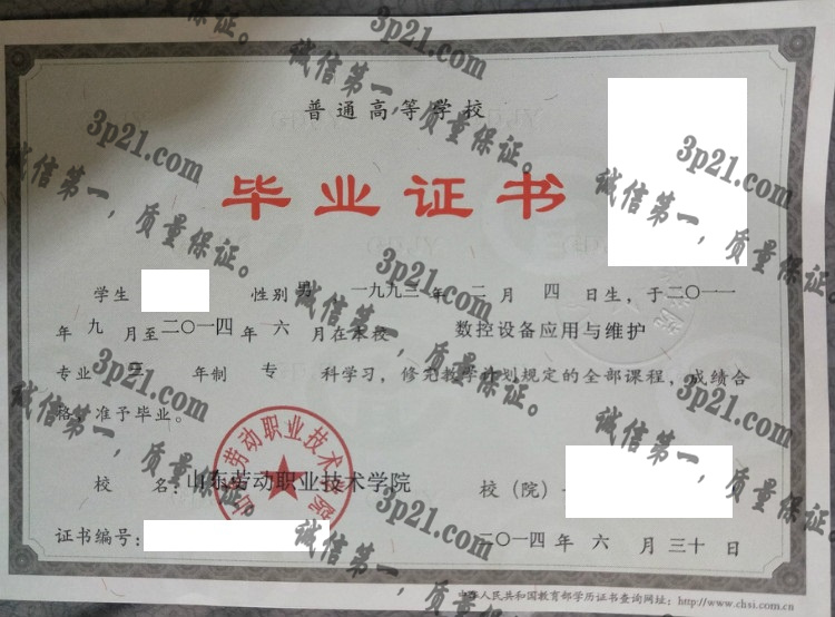 山东劳动职业技术学院毕业证样本