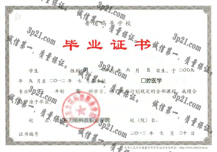 山东力明科技职业学院毕业证样本