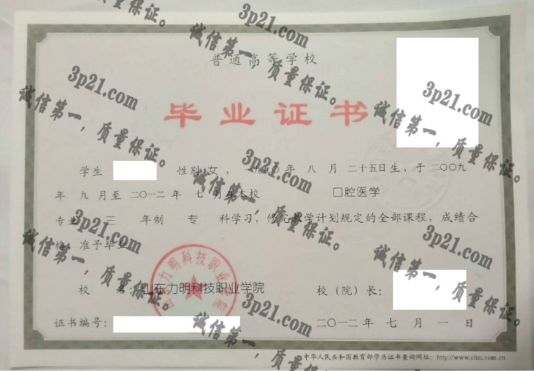 山东力明科技职业学院毕业证样本