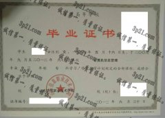 山东信息职业技术学院毕业证样本
