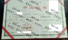 山东政法学院毕业证样本