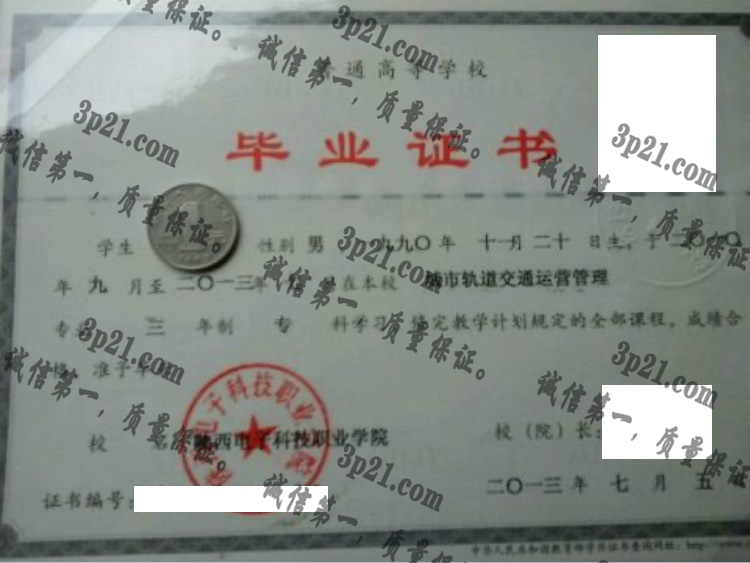 陕西电子科技职业学院毕业证样本