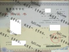 上海科学技术职业技术学院毕业证样本