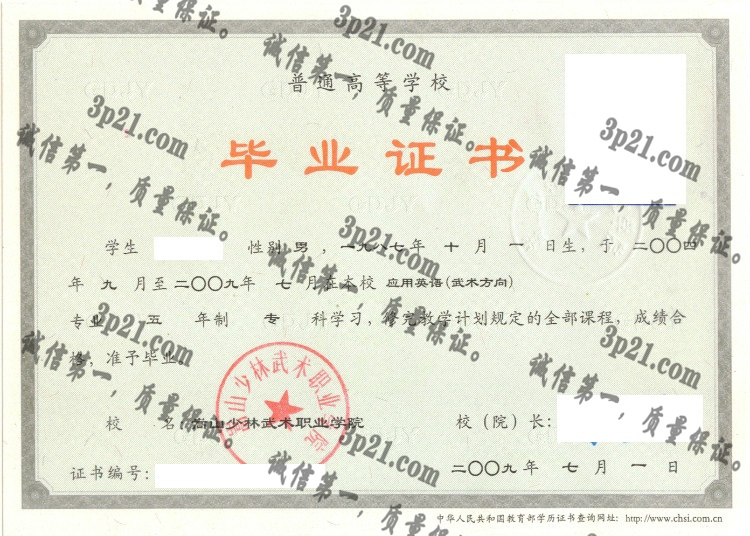 嵩山少林武术职业学院毕业证样本