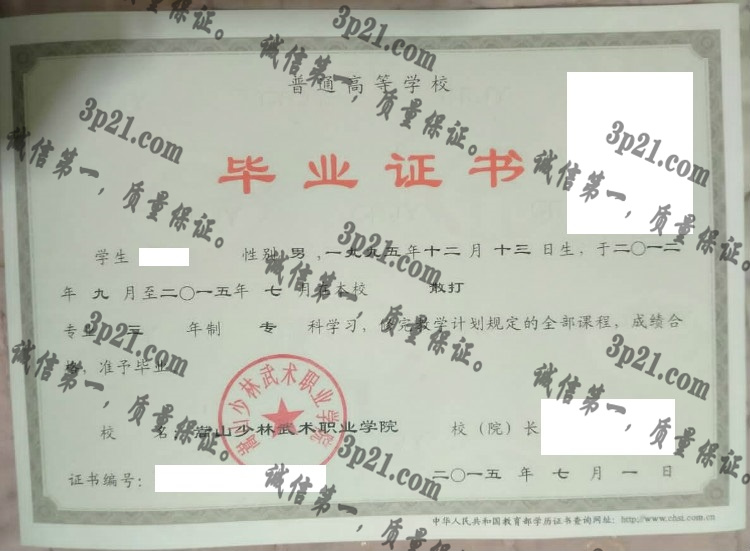 嵩山少林武术职业学院毕业证样本